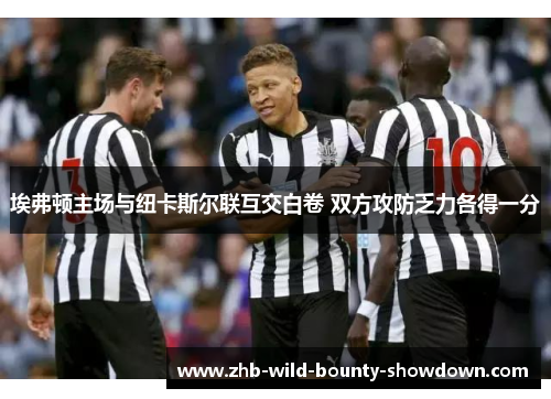 埃弗顿主场与纽卡斯尔联互交白卷 双方攻防乏力各得一分